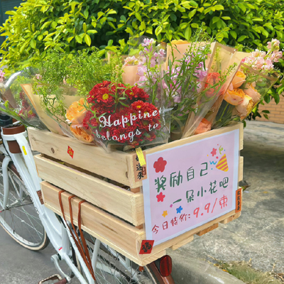 宠物医院药品相关知识