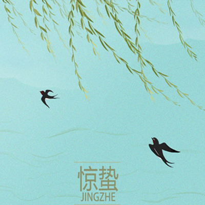 宠物店能学到什么知识