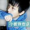 宠物搭乘交通工具知识点